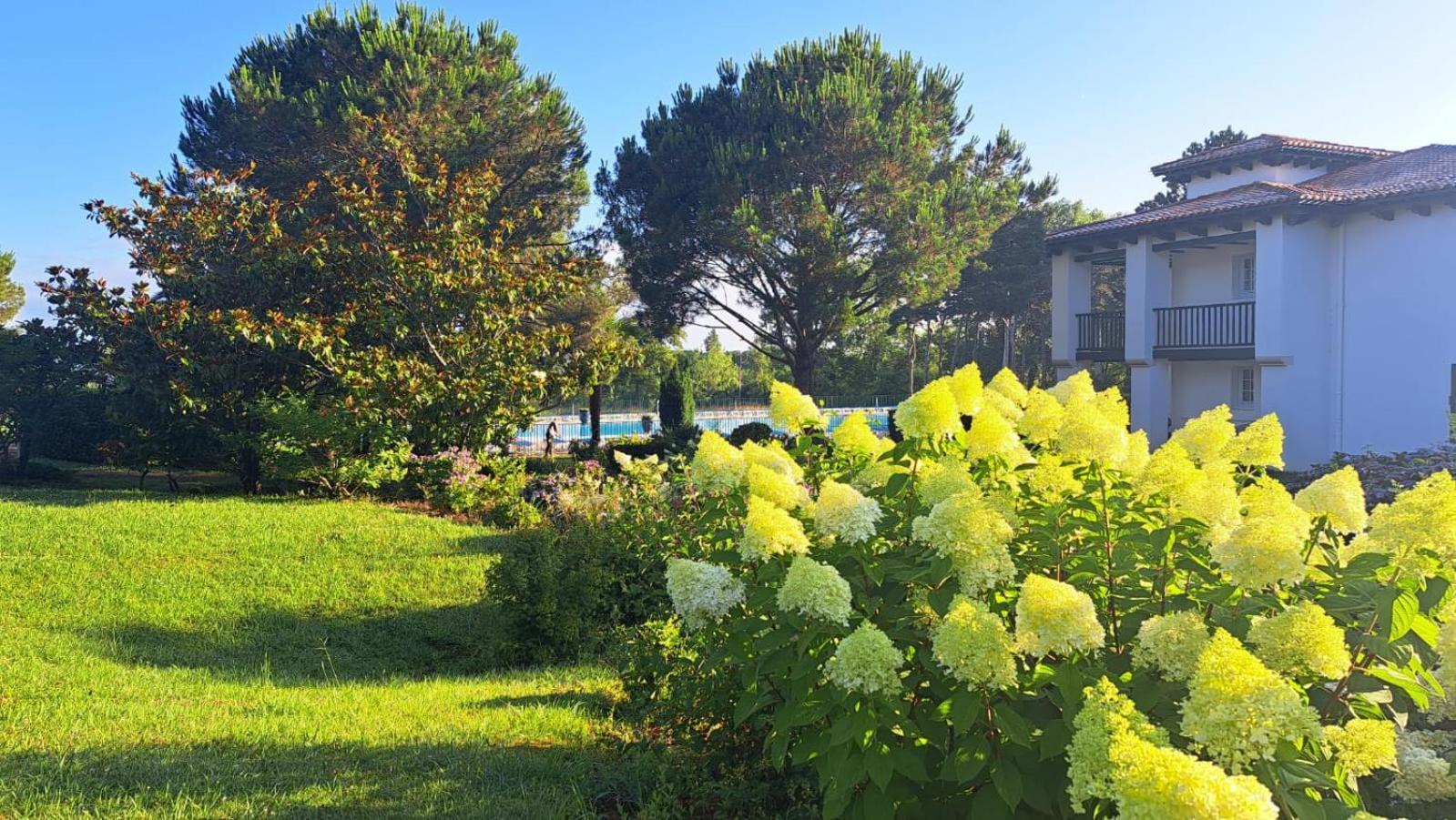 Atlantic Selection - Domaine De Bordaberry - Terrasse & Superbe Piscine Διαμέρισμα Urrugne Εξωτερικό φωτογραφία